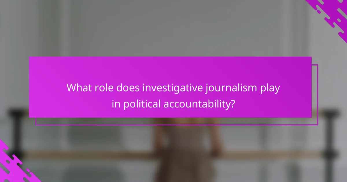 What role does investigative journalism play in political accountability?